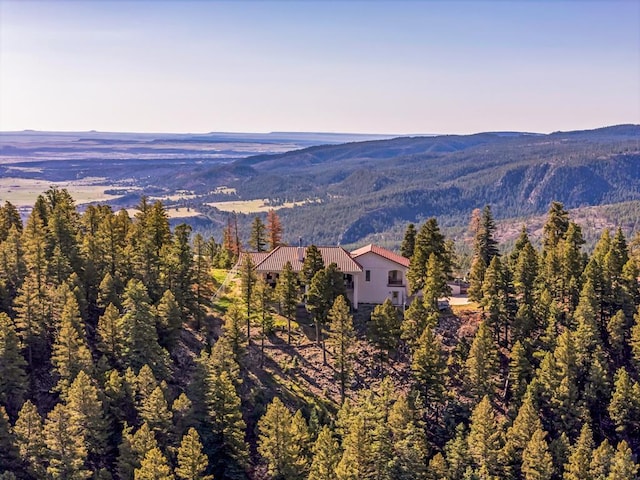 8760 Ridge Rd, Beulah, CO 81023 - view of mountain feature