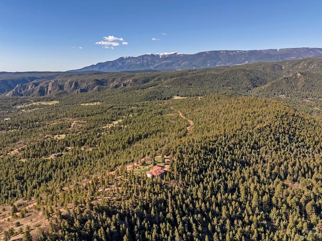 8760 Ridge Rd, Beulah, CO 81023 - drone / aerial view featuring a mountain view and a forest view