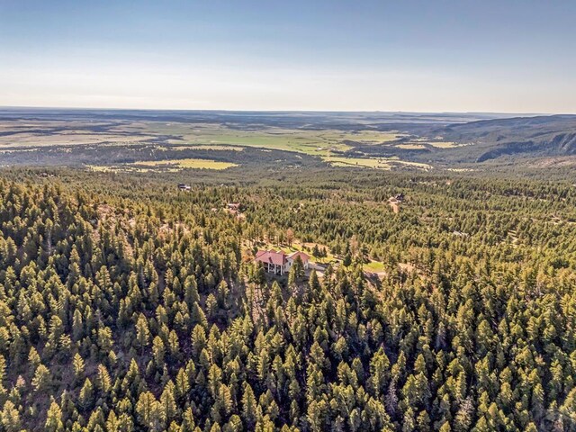 8760 Ridge Rd, Beulah, CO 81023 - drone / aerial view with a forest view