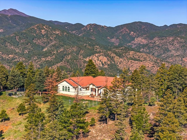 8760 Ridge Rd, Beulah, CO 81023 - mountain view