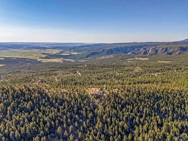 8760 Ridge Rd, Beulah, CO 81023 - aerial view with a forest view and a mountain view