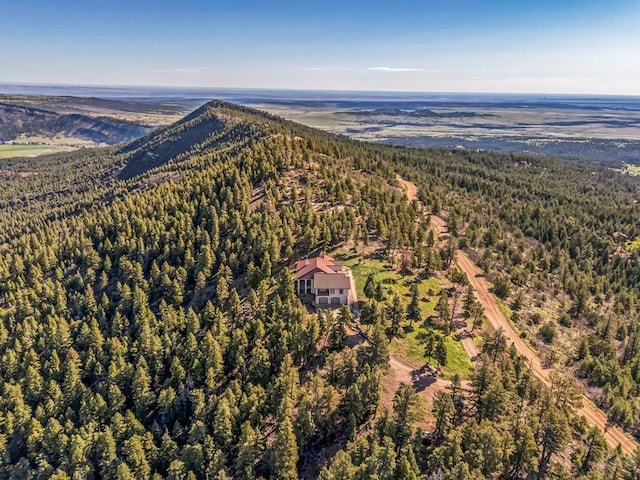 8760 Ridge Rd, Beulah, CO 81023 - bird's eye view featuring a wooded view