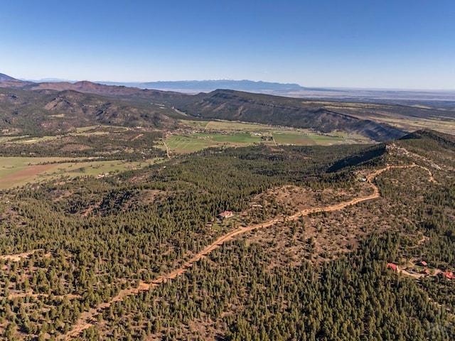 8760 Ridge Rd, Beulah, CO 81023 - birds eye view of property with a mountain view
