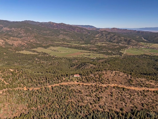 8760 Ridge Rd, Beulah, CO 81023 - view of mountain feature