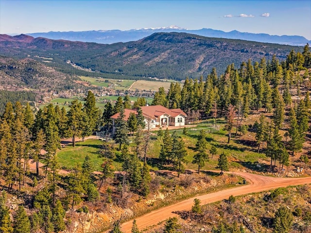 8760 Ridge Rd, Beulah, CO 81023 - mountain view