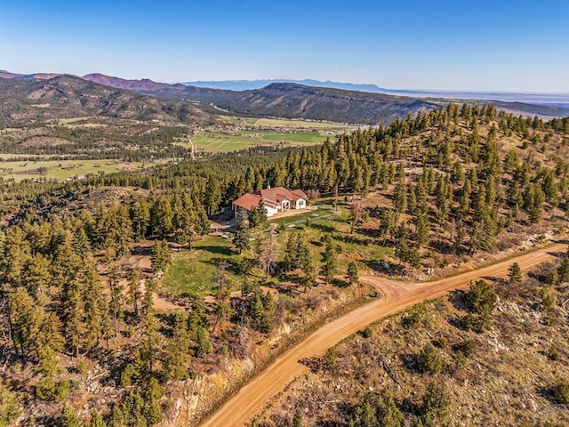 8760 Ridge Rd, Beulah, CO 81023 - drone / aerial view featuring a mountain view