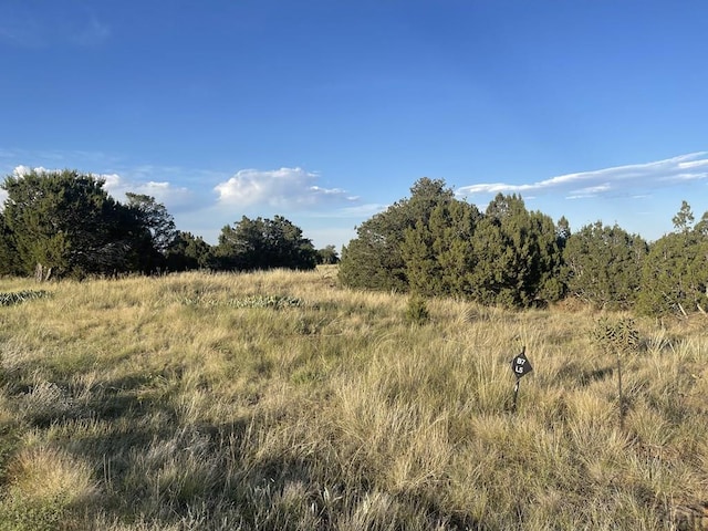 Listing photo 3 for TBD Black Diamond Park, Walsenburg CO 81089