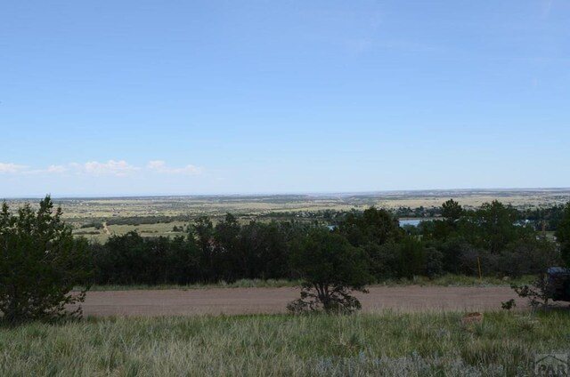 0 Buckskin Ave, Colorado City, CO 81019 - photo 6