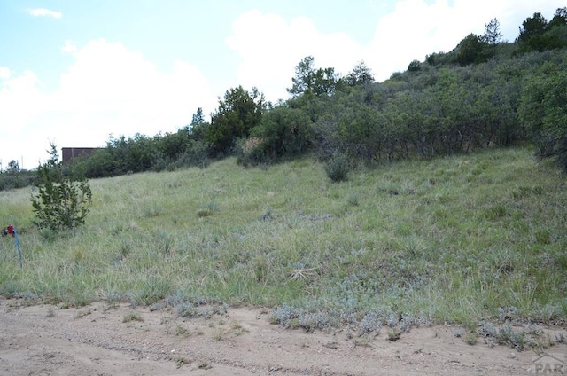 0 Buckskin Ave, Colorado City CO, 81019 land for sale