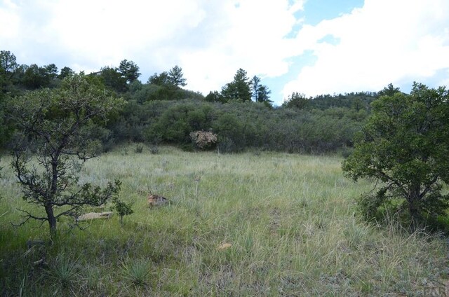 0 Buckskin Ave, Colorado City, CO 81019 - photo 3
