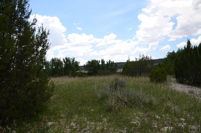 TBD Spotted Tail Rd, Colorado City CO, 81019 land for sale