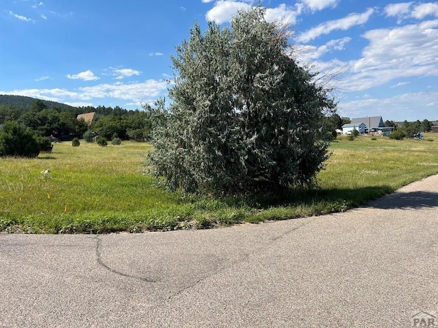 Listing photo 3 for TBD Spotted Tail Rd, Colorado City CO 81019