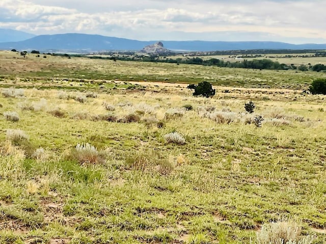 LOT100 County Rd 542, Gardner, CO 81090 - photo 17