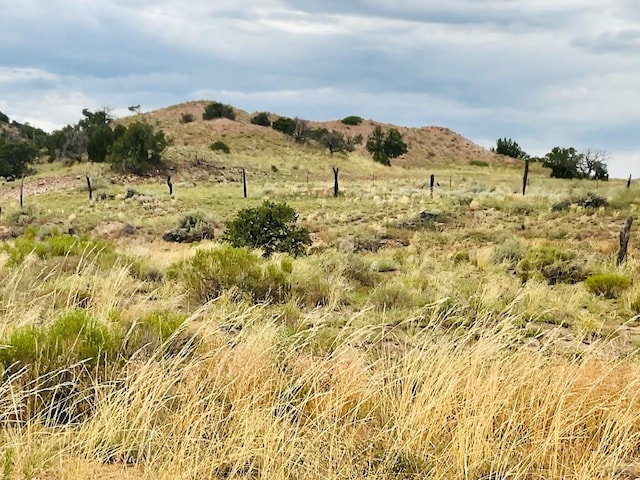 LOT100 County Rd 542, Gardner, CO 81090 - photo 12