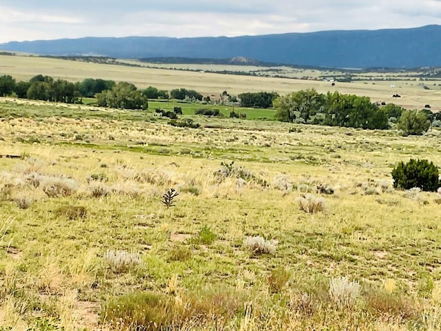 LOT100 County Rd 542, Gardner, CO 81090 - photo 28