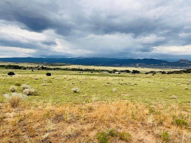 LOT100 County Rd 542, Gardner, CO 81090 - photo 21