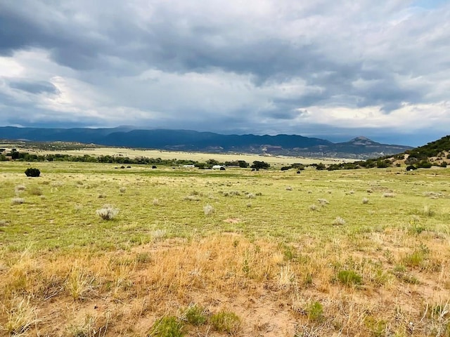 LOT100 County Rd 542, Gardner, CO 81090 - photo 22