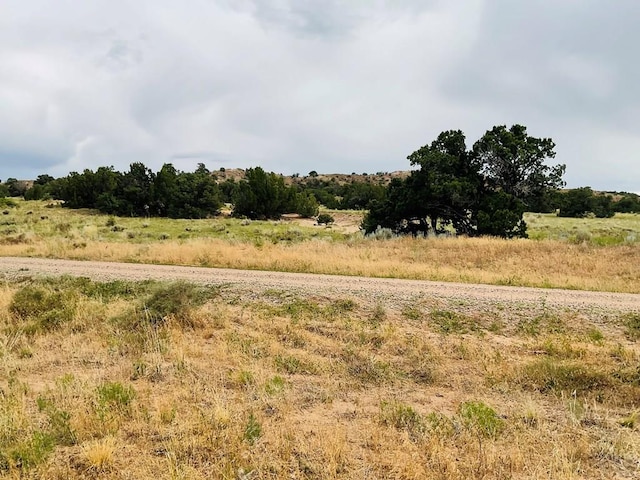 LOT100 County Rd 542, Gardner, CO 81090 - photo 16