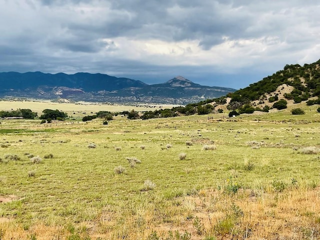 LOT100 County Rd 542, Gardner, CO 81090 - photo 23