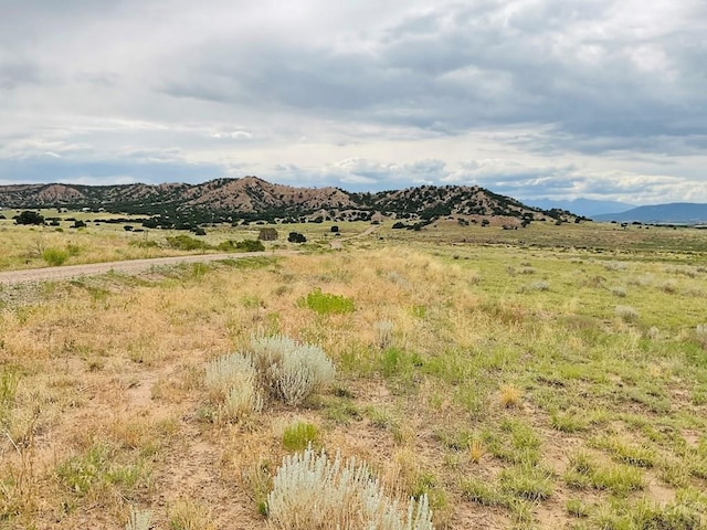 LOT100 County Rd 542, Gardner, CO 81090 - photo 15