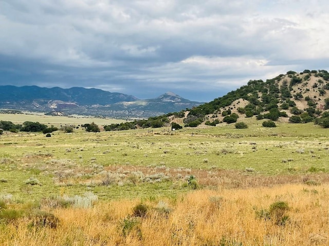 LOT100 County Rd 542, Gardner, CO 81090 - photo 9