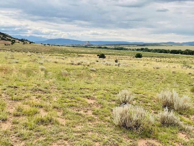 LOT100 County Rd 542, Gardner, CO 81090 - photo 19