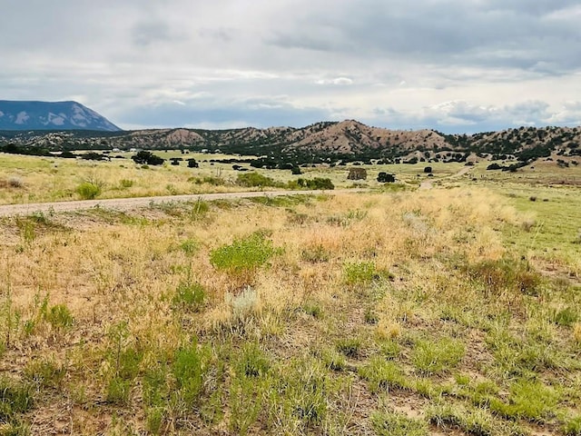 LOT100 County Rd 542, Gardner, CO 81090 - photo 18