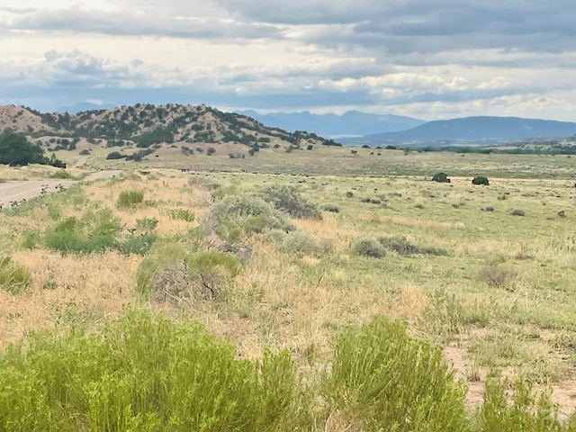 LOT100 County Rd 542, Gardner, CO 81090 - photo 3