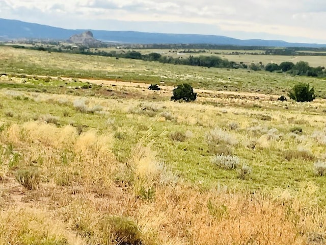 LOT100 County Rd 542, Gardner, CO 81090 - photo 29