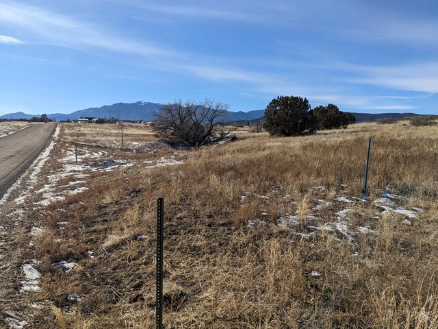 4603 Simpson Dr, Colorado City, CO 81019 - photo 13