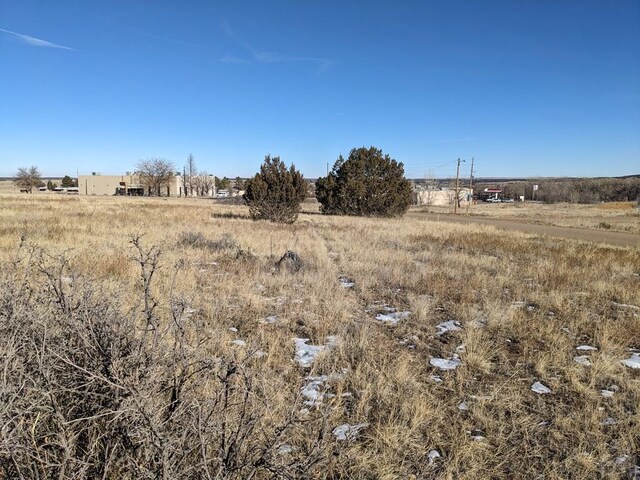 4603 Simpson Dr, Colorado City, CO 81019 - photo 9