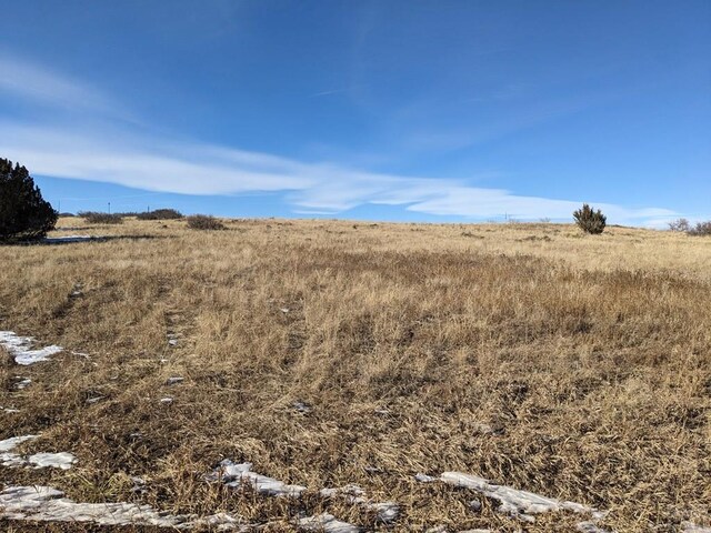 4603 Simpson Dr, Colorado City, CO 81019 - photo 11