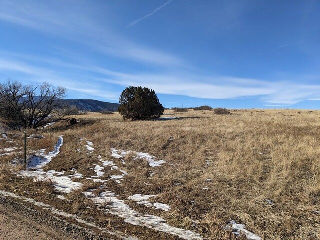 4603 Simpson Dr, Colorado City, CO 81019 - photo 12