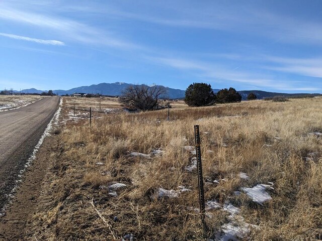 4603 Simpson Dr, Colorado City, CO 81019 - photo 4