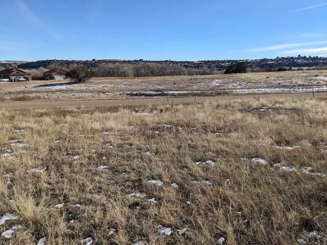 4603 Simpson Dr, Colorado City, CO 81019 - photo 8