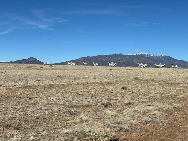 Listing photo 3 for LOT26 Tioga Rnch, Walsenburg CO 81089