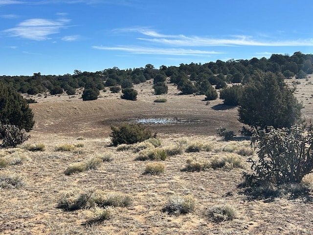 Listing photo 2 for LOT26 Tioga Rnch, Walsenburg CO 81089