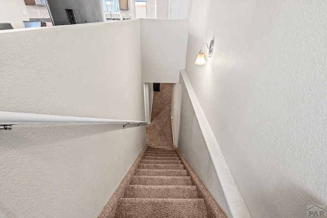 staircase featuring carpet flooring