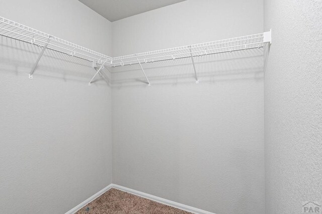 walk in closet featuring carpet