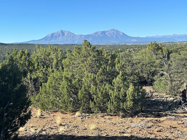 LOT12 City Rnch, Property, Walsenburg CO, 81089 land for sale