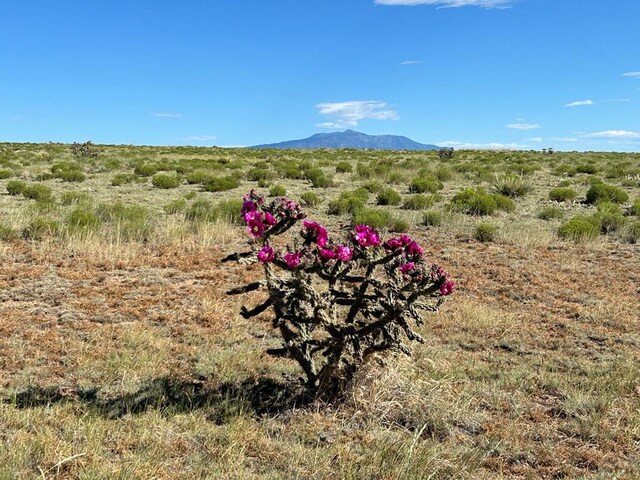 LOT46 River Ridge Ranch, Walsenburg, CO 81089 - photo 13