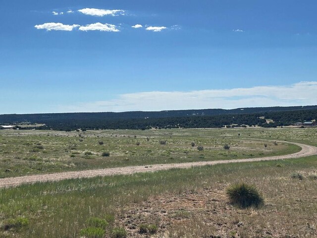 LOT46 River Ridge Ranch, Walsenburg, CO 81089 - photo 18