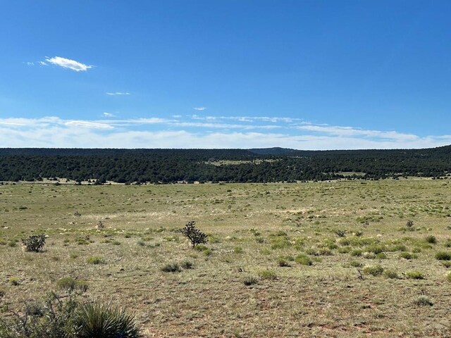 LOT46 River Ridge Ranch, Walsenburg, CO 81089 - photo 17