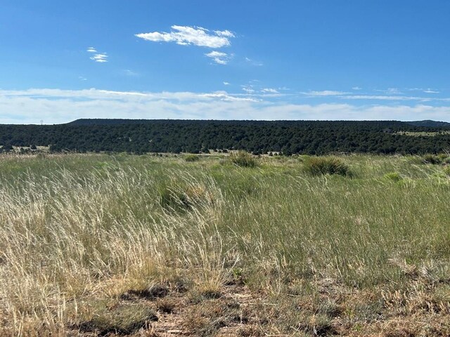 LOT46 River Ridge Ranch, Walsenburg, CO 81089 - photo 6