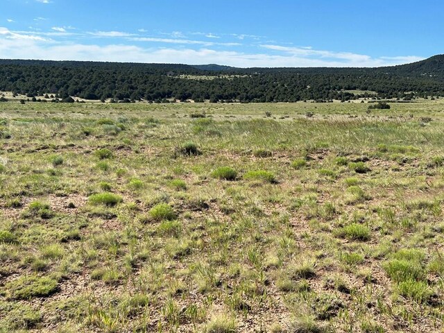 LOT46 River Ridge Ranch, Walsenburg, CO 81089 - photo 9