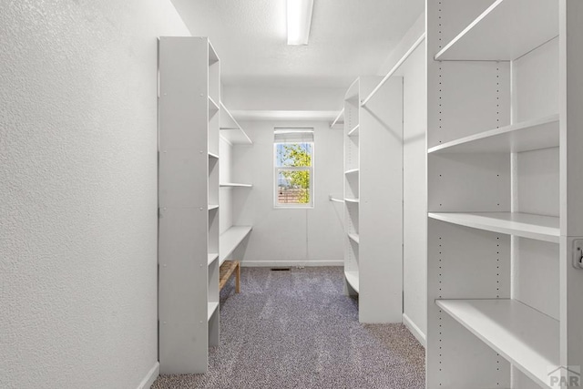 503 N Iliff Dr, Pueblo West, CO 81007 - walk in closet featuring carpet flooring