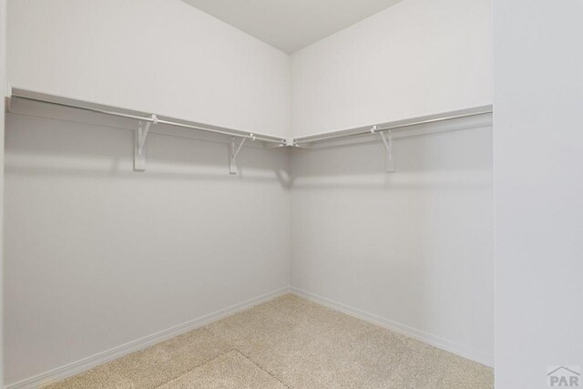 walk in closet with carpet flooring