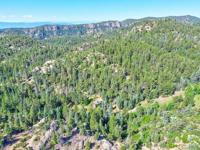 21691 County Rd 67, Penrose, CO 81223 - photo 42