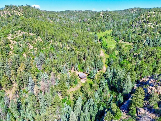 21691 County Rd 67, Penrose, CO 81223 - photo 40