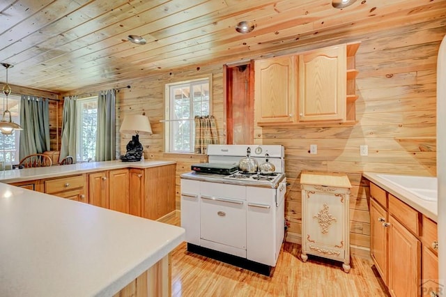 21691 County Rd 67, Penrose, CO 81223 - photo 19